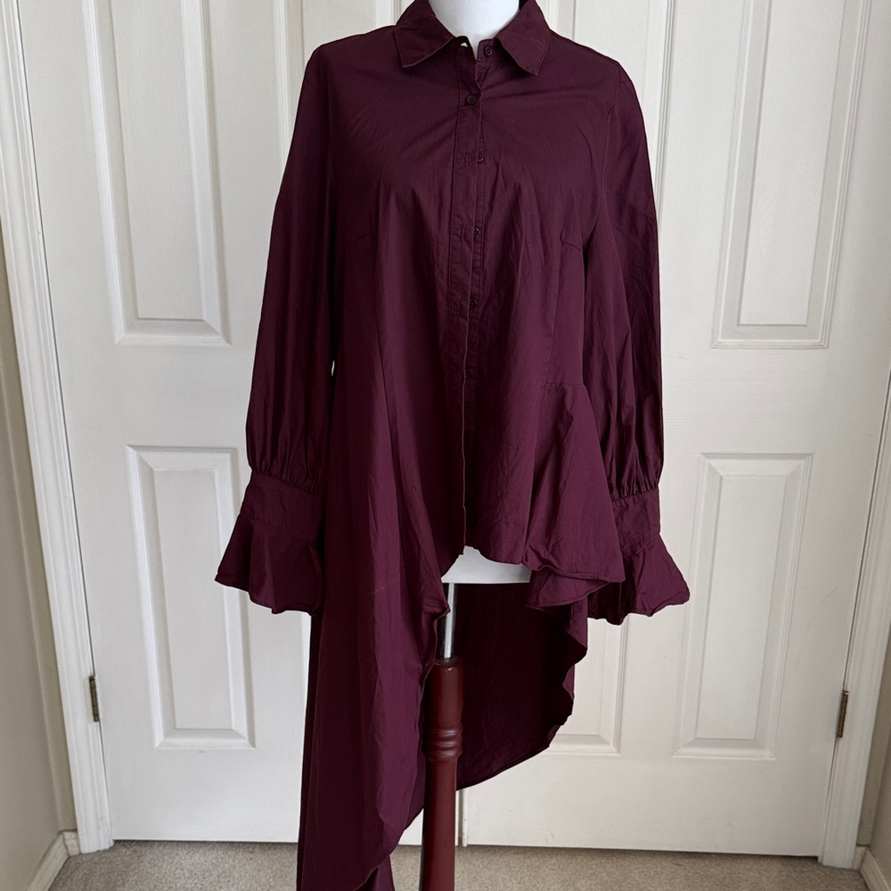 Asymmetrical Burgundy Top